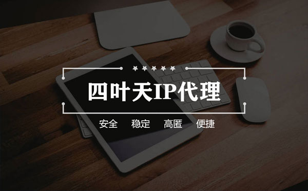 【驻马店代理IP】如何快速搭建代理IP？怎么检查代理的效果？