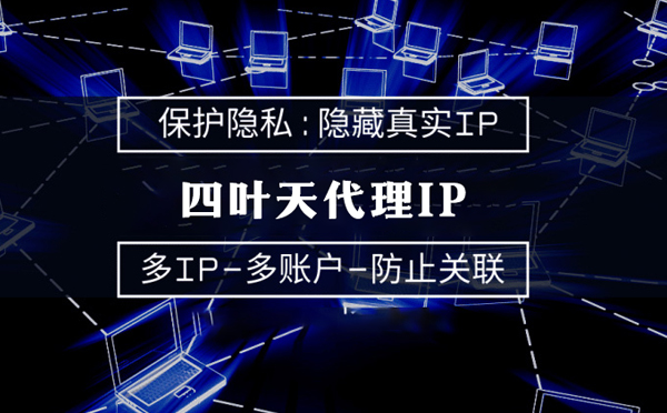 【驻马店代理IP】什么是代理ip池？如何提高代理服务器的网速